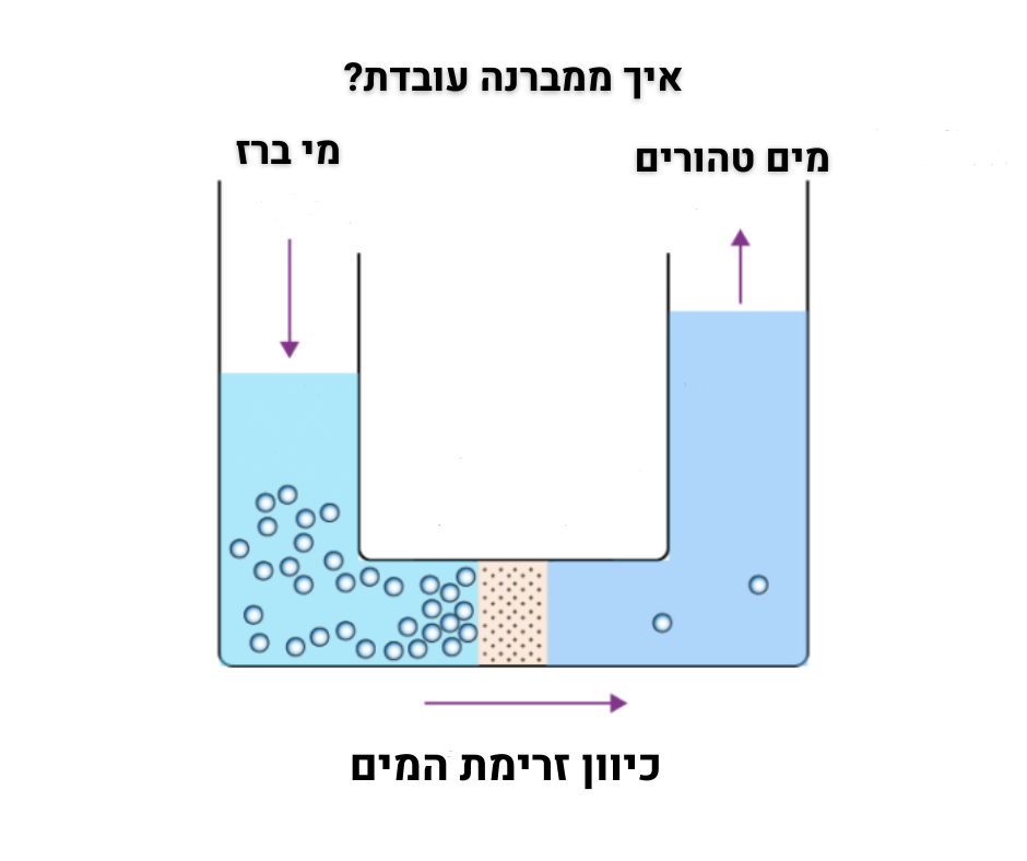 איך ממברנה עובדת11 - מי בראשית